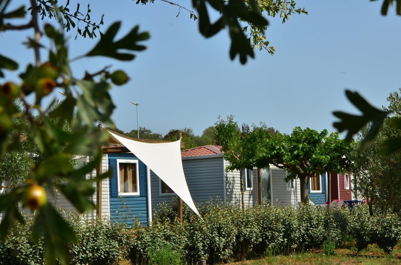 Domaine Sainte Veziane Otel Bessan Dış mekan fotoğraf